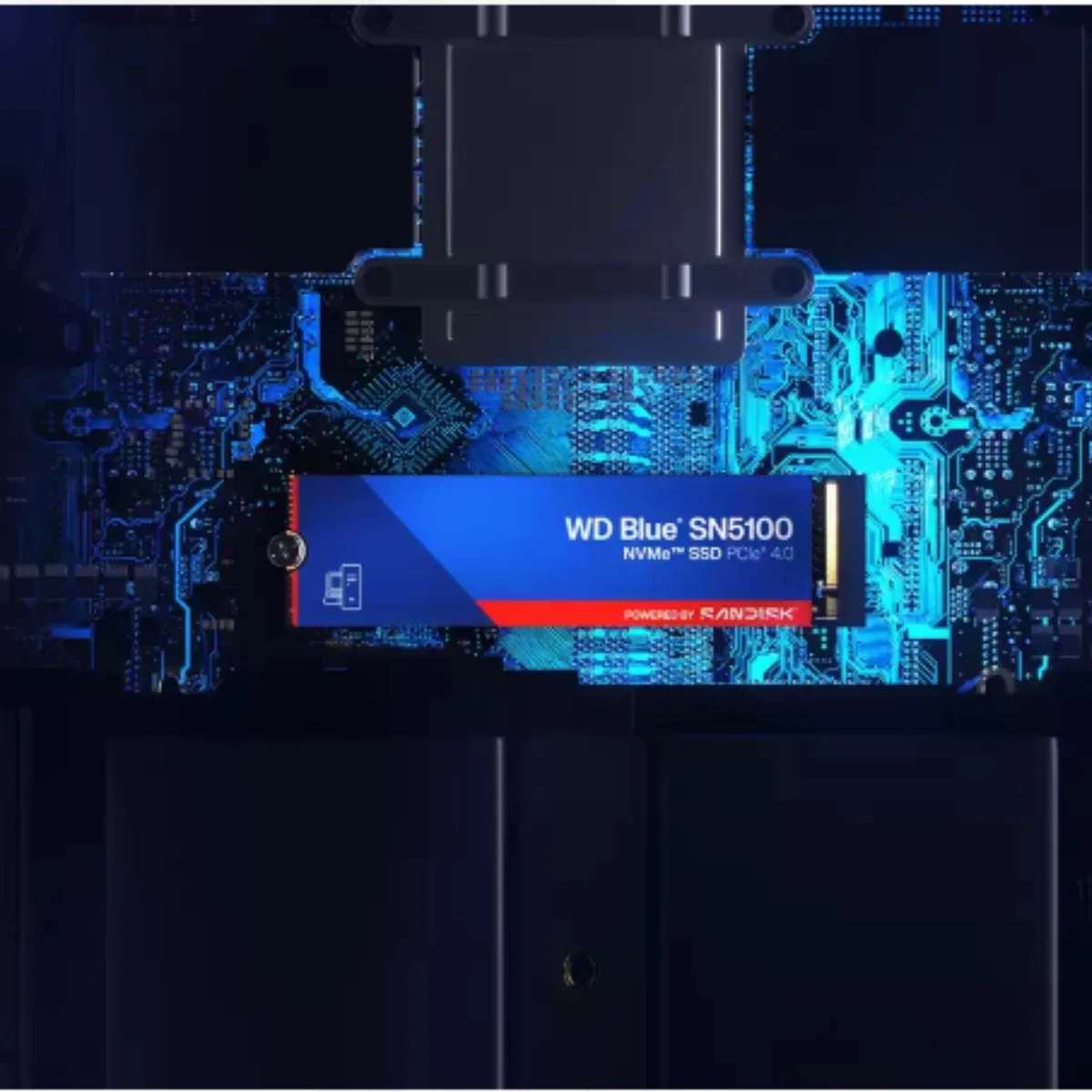 Disco Sólido SSD 1TB WD Blue SN5100 NVMe M.2 PCIe Gen4 x4 - 7100MB/s | WDS100T5B0E