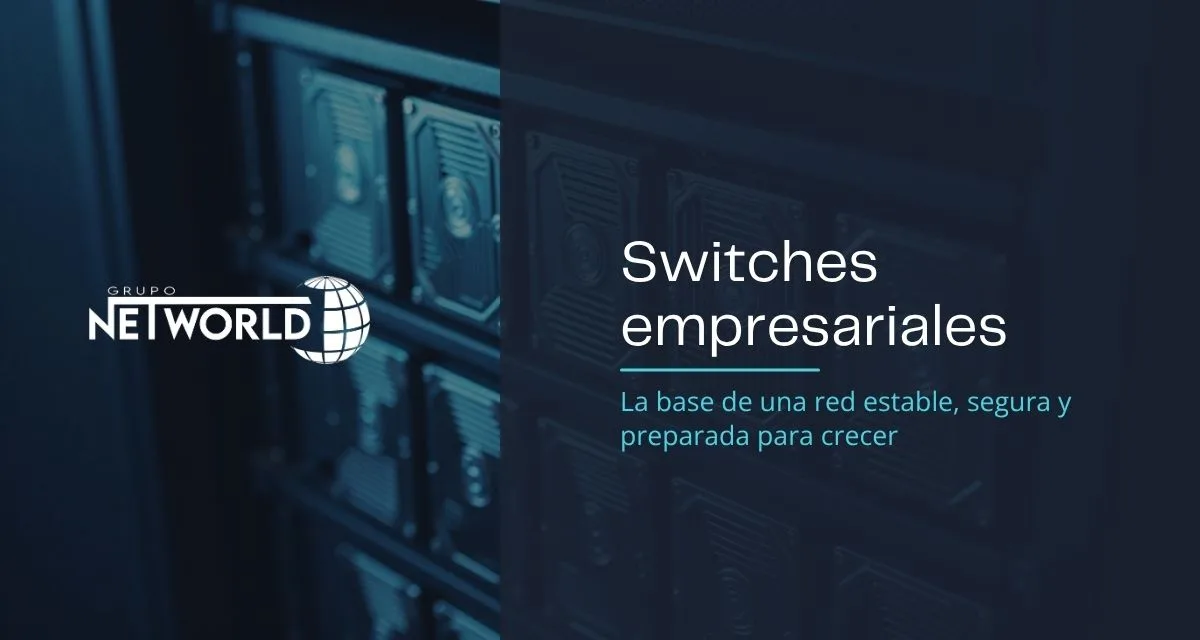 Switches empresariales: la base de una red estable, segura y preparada para crecer