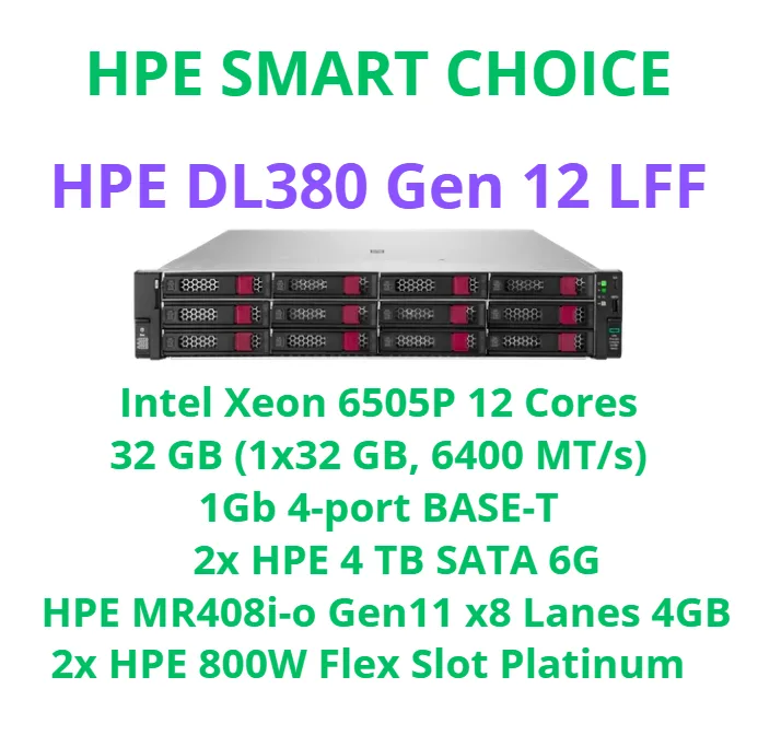 HPE PROLIANT DL380 Gen 12  LFF 2 x 480GB SSD - P89248-DM5(SI)
