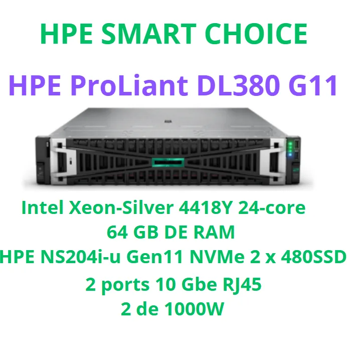 HPE PROLIANT DL380 GEN 11 SMART CHOICE P75345-DM5 (SI) 