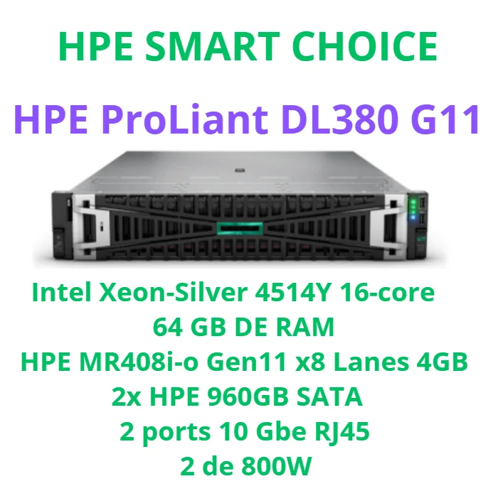HPE PROLIANT DL380 GEN 11 SMART CHOICE P81496-DM5 (SI)