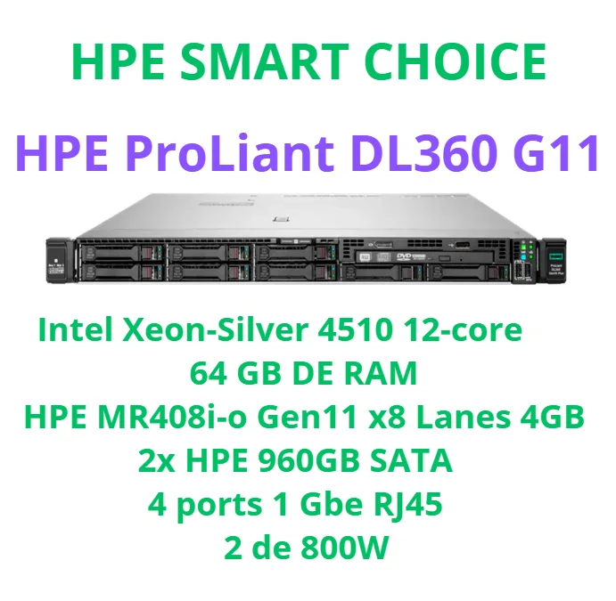 HPE PROLIANT DL360 Gen11 SMART CHOICE P84099-DM5 (SI)