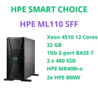 HPE Proliant ML110 GEN 11 8 SFF - 2 x 480 GB SSD - P89084-D05 (SI) 