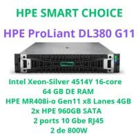 HPE PROLIANT DL380 GEN 11 SMART CHOICE P81496-DM5 (SI)