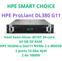 HPE PROLIANT DL380 GEN 11 SMART CHOICE P84120-DM5(SI)