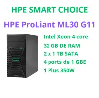  HPE ML30 GEN 11 SMART CHOICE - P83986-D05 (SI) 