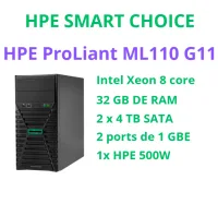 HPE PROLIANT ML110 GEN 11 - 2 x 4TB - P84119-D05 (SI) 