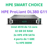 HPE PROLIANT DL380 GEN 11 SMART CHOICE P84102-DM5 SI) 