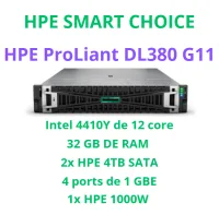 HPE PROLIANT DL380 GEN 11 SMART CHOICE P75344-DM5 SI) 