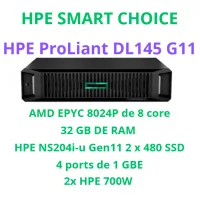 HPE PROLIANT DL145 GEN 11 SMARTCHOICE  P79811-DM5 (SI)