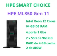 HPE PROLIANT ML350 GEN 11 SMART CHOICE - P84118-D05 (SI)