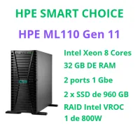 HPE PROLIANT ML110 GEN 11 - 2 x 960 GB SSD - P84116-D05 (SI)